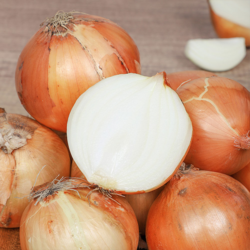 2026년 국내산 햇 양파 (특) 3kg
